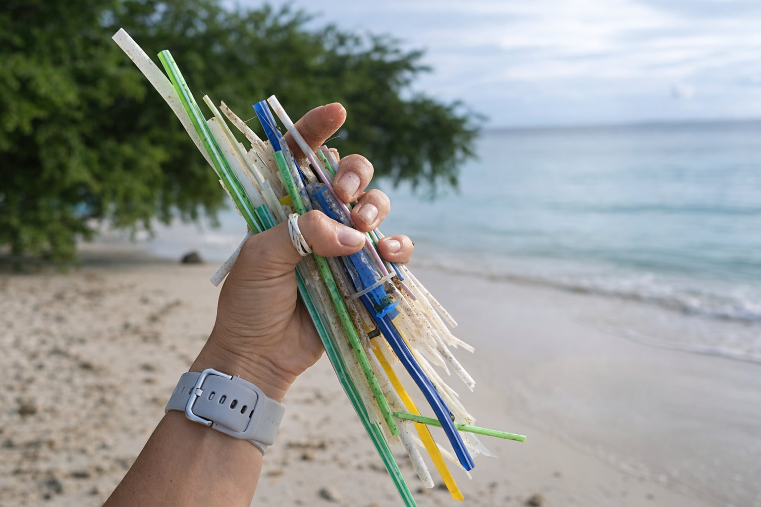 Volunteers participating in island beach clean