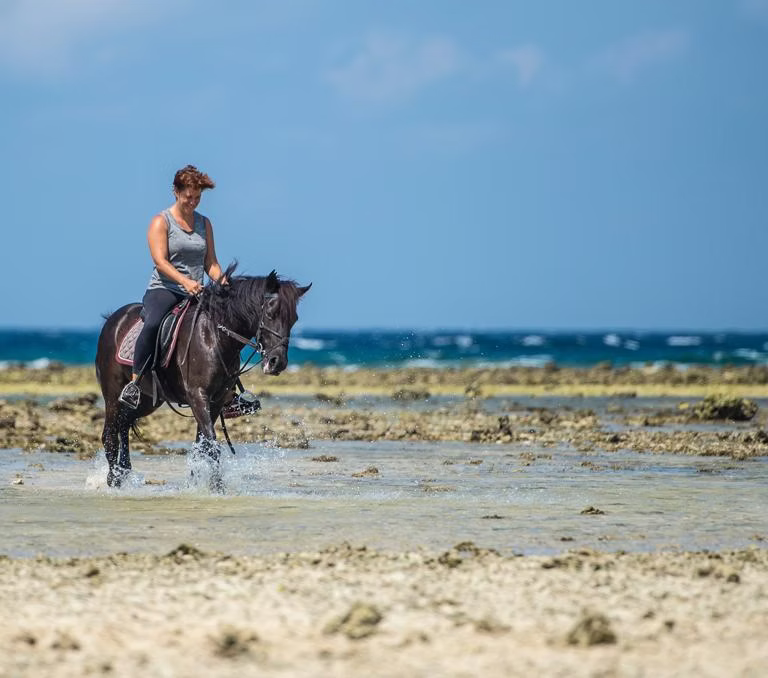 Horse riding on the island