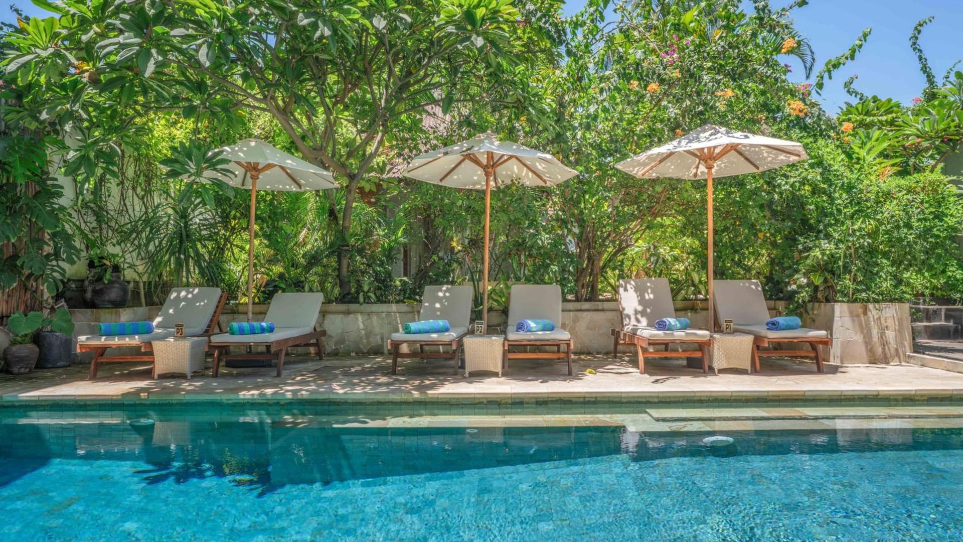 King Room with Pool View