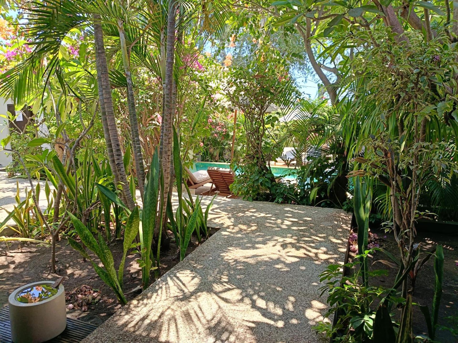 Pool and lounge