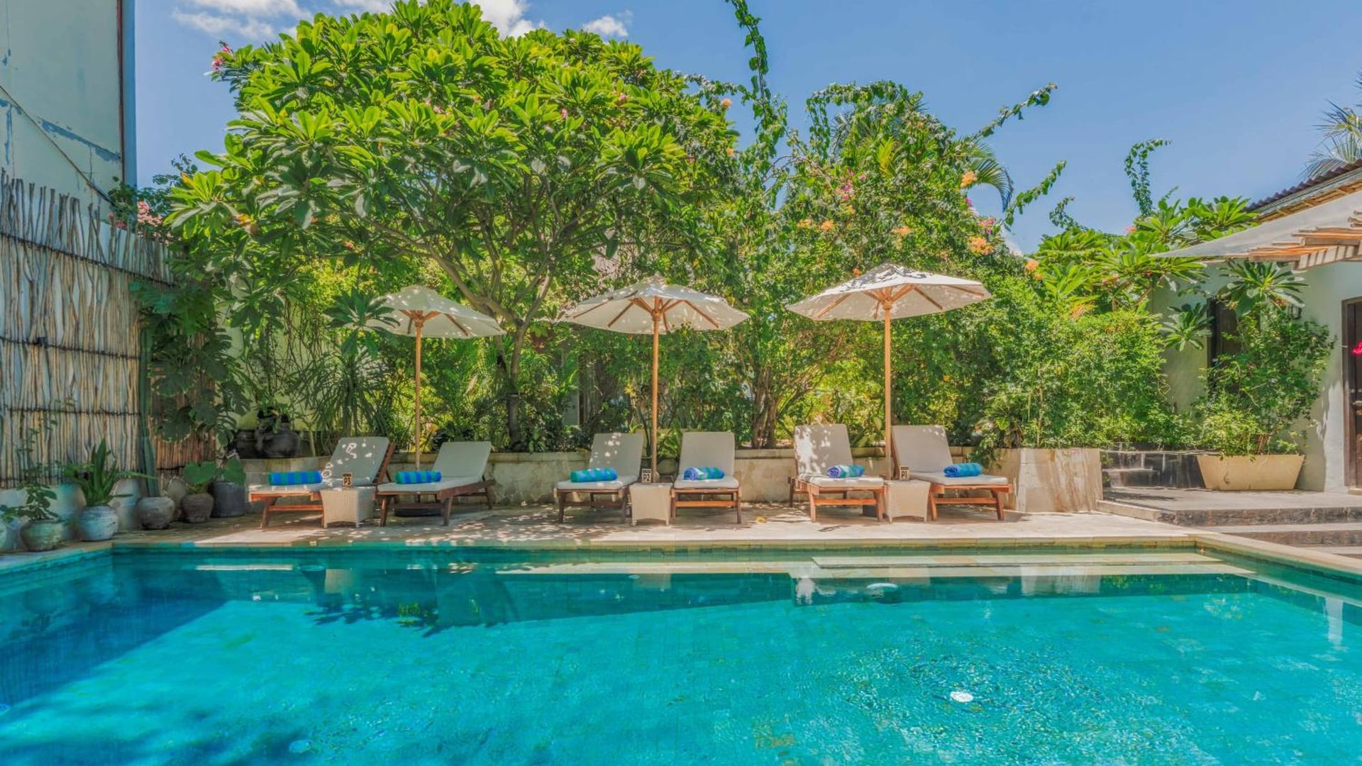 Pool and lounge