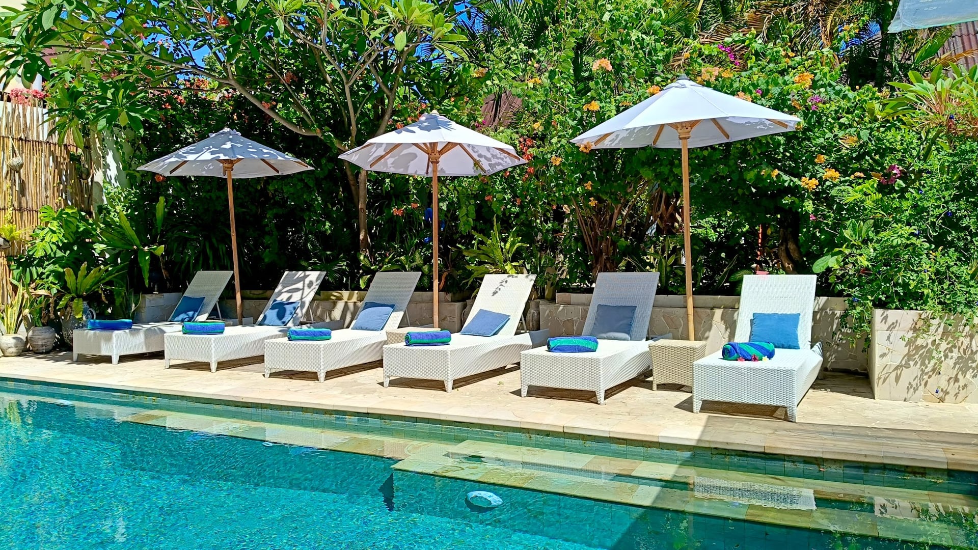 Sunlight dances on the surface of our freshwater pool, surrounded by…