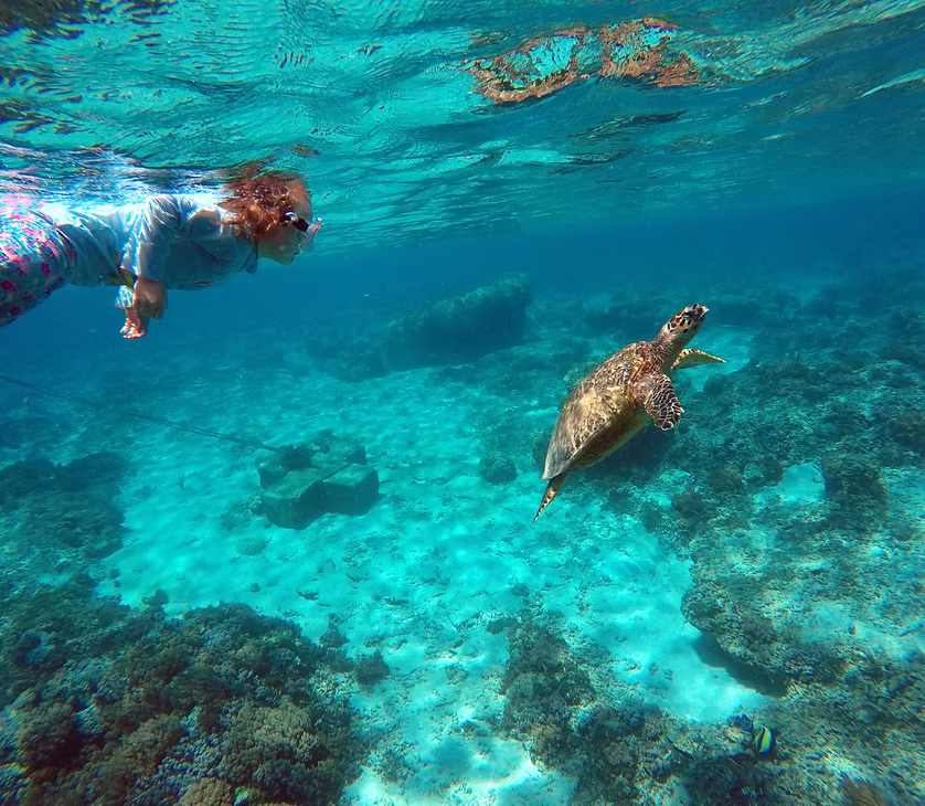 Snorkeling near coral reefs