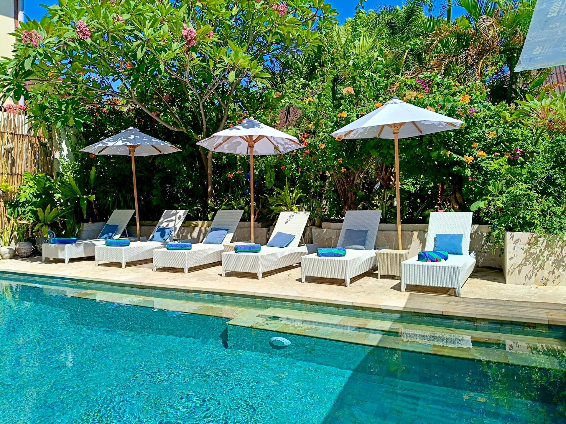 Sunlight dances on the surface of our serene freshwater pool, surroun…
