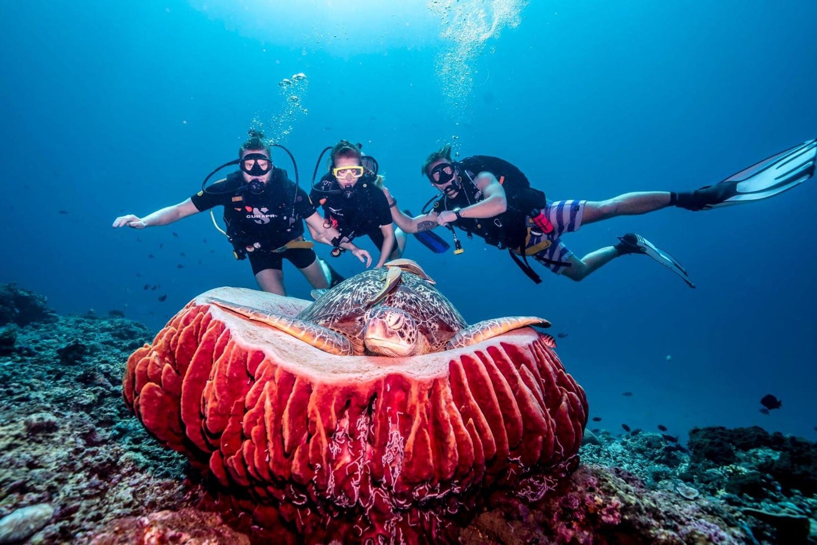 Have you ever thought about diving straight into a morning filled wit…
