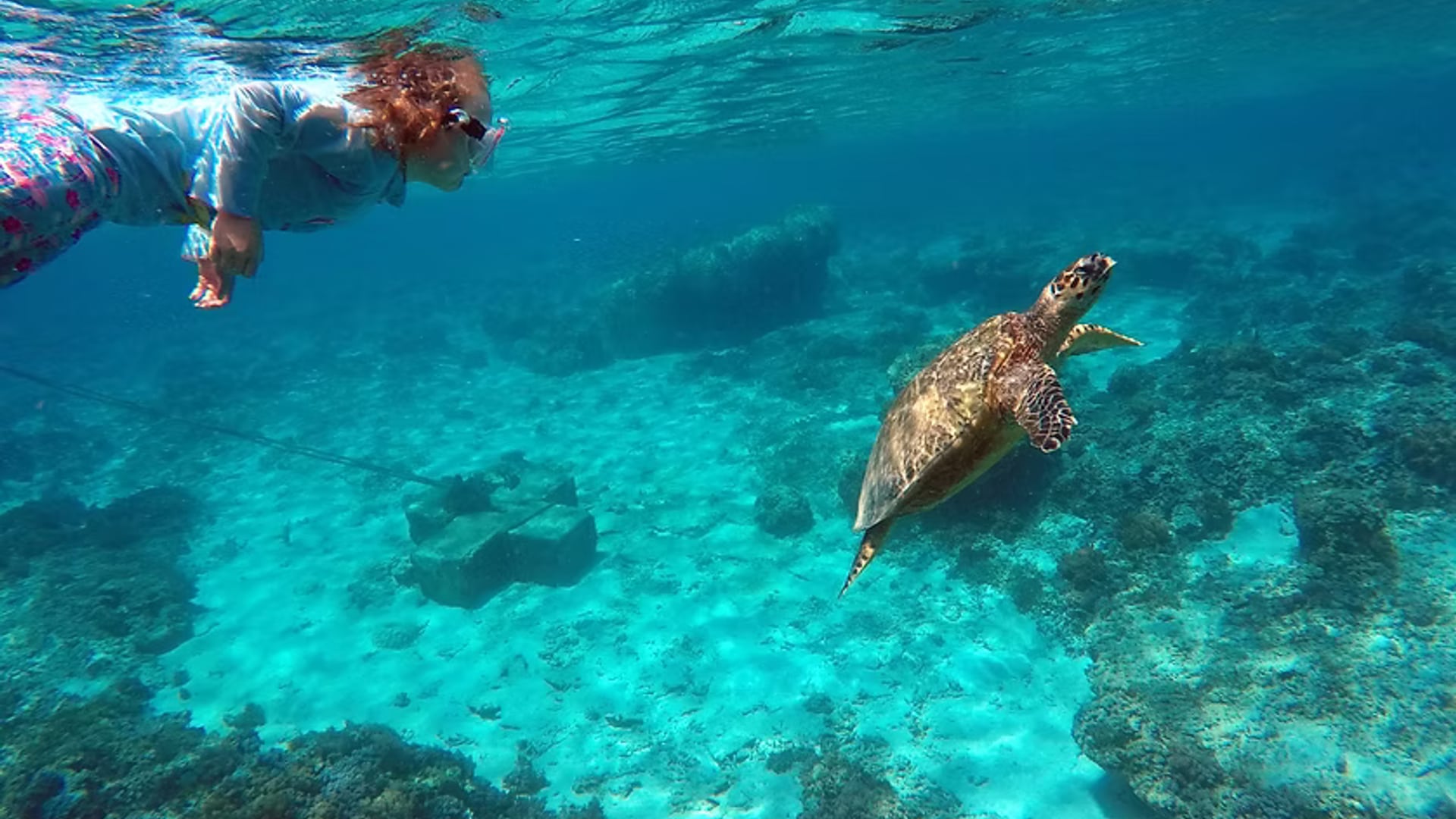 Snorkeling near coral reefs